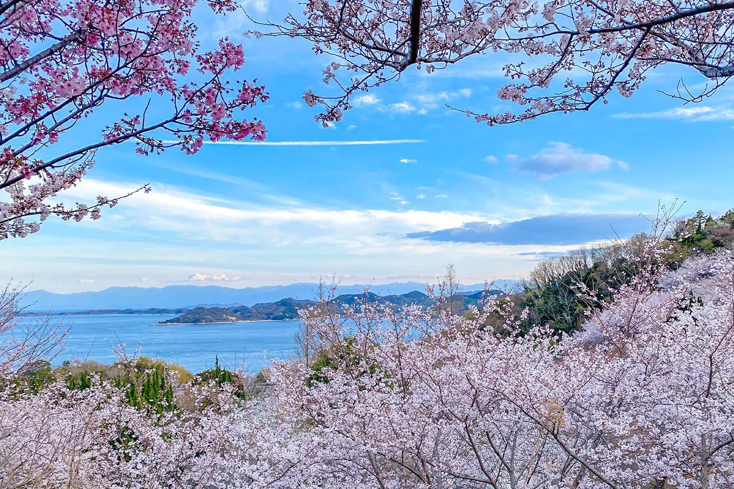 Villa Lemon Farm Glamping Simanami Onomichi Esterno foto