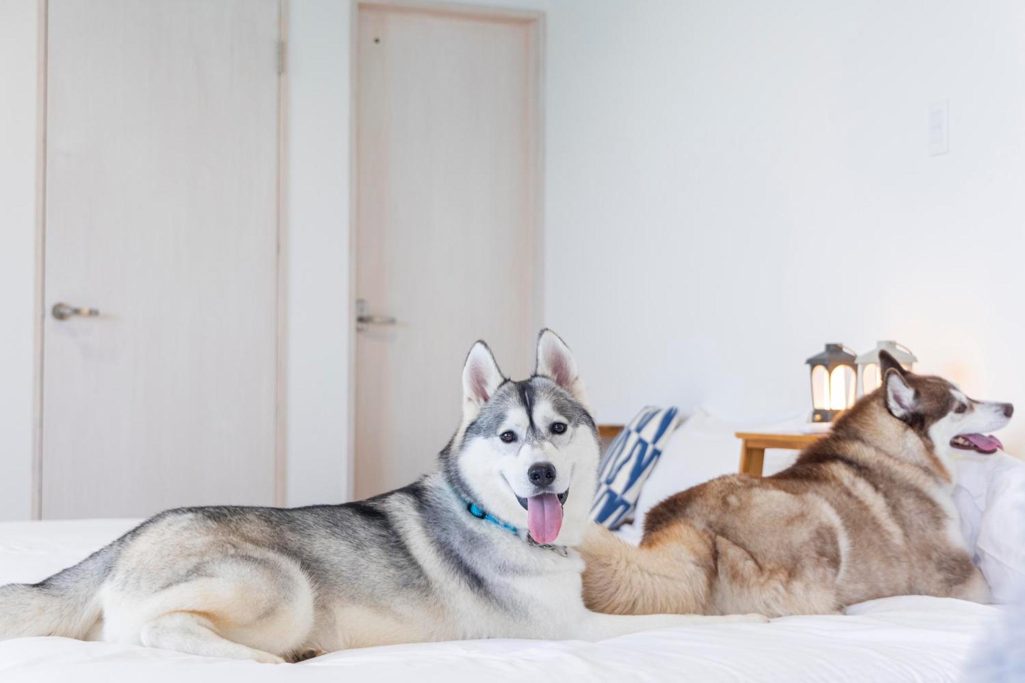 Villa Lemon Farm Glamping Simanami Onomichi Esterno foto